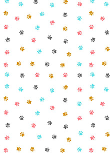 Pattern Transfer Paper 27