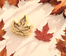 Autumn Leaf 03