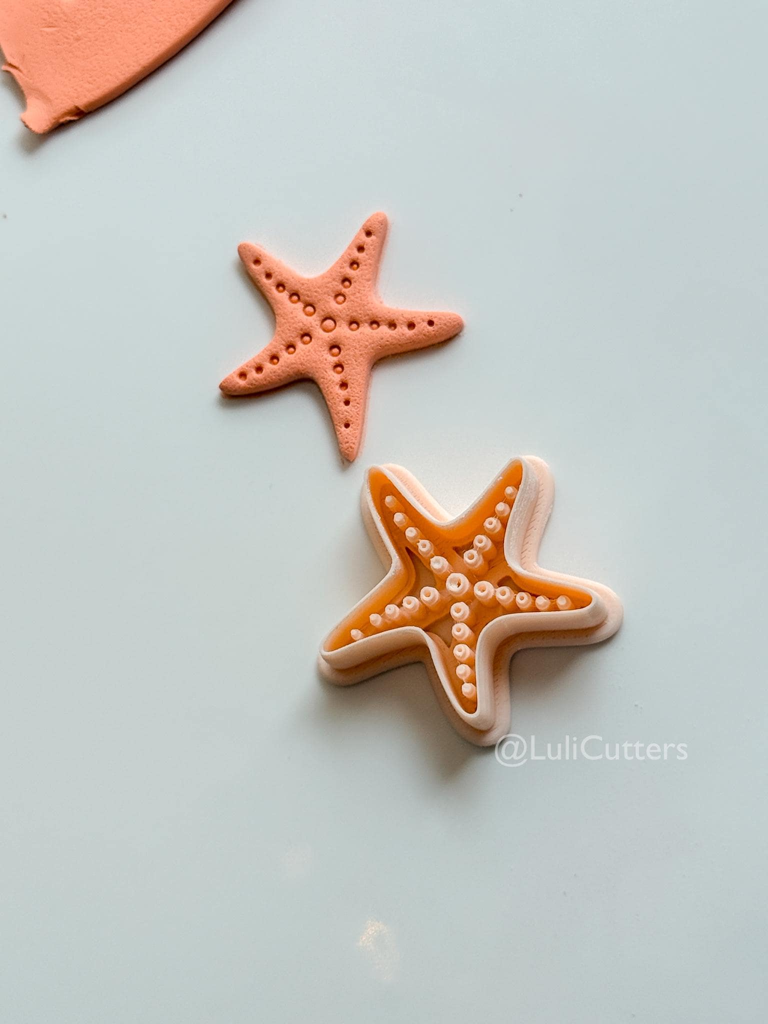 Dottie Seastar Cutter: Coastal Starfish Shape for Polymer Clay
