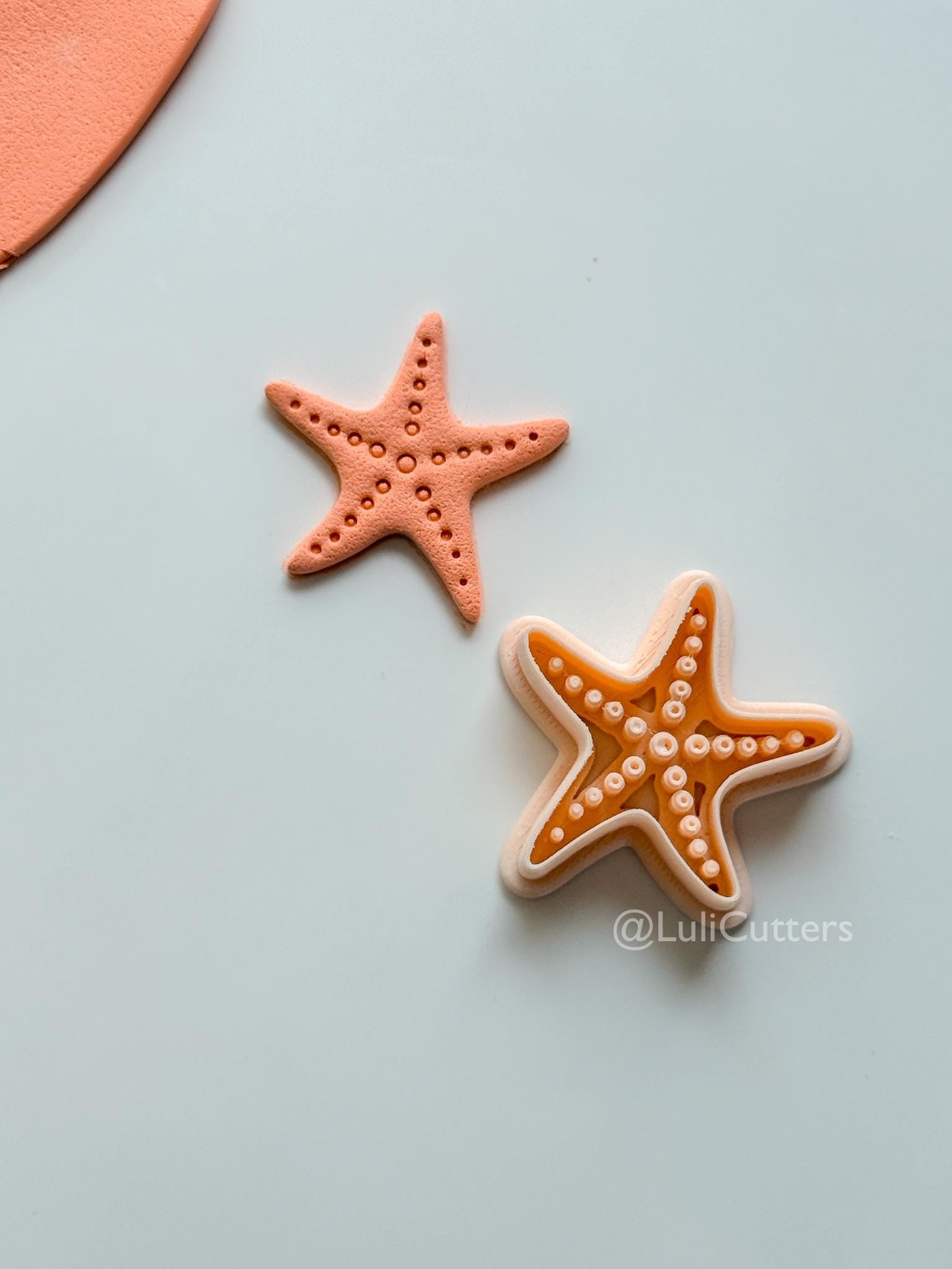 Dottie Seastar Cutter: Coastal Starfish Shape for Polymer Clay